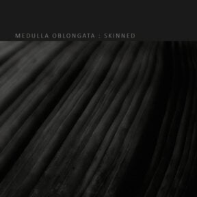 Medulla Oblongata – Skinned (YTTERBIUM 41)