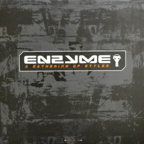 Enzyme Records - A Gathering Of Styles (ENZYME 10) (black colored)